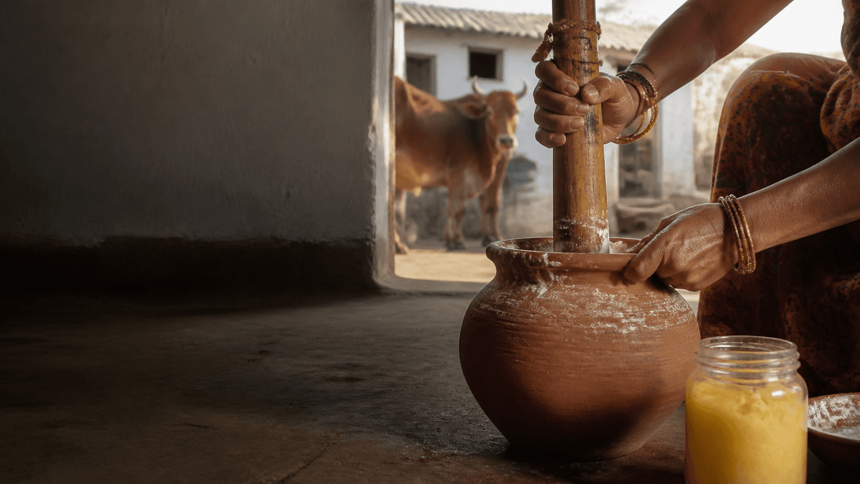A2 Gir cow ghee jars beside the herd on the Organic Jaipur Store farm